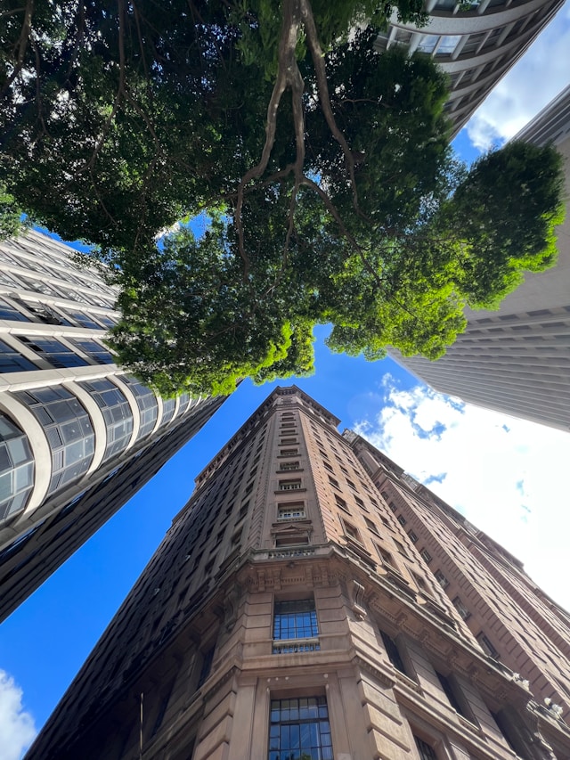 São Paulo